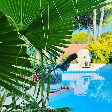 Hebergement Insolite Studio Grau Du Roi Mas Des Marines Piscine ル・グロー・デュ・ロワ エクステリア 写真