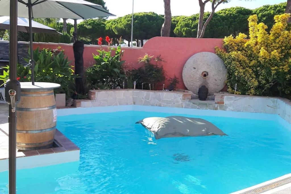 Hebergement Insolite Studio Grau Du Roi Mas Des Marines Piscine ル・グロー・デュ・ロワ エクステリア 写真