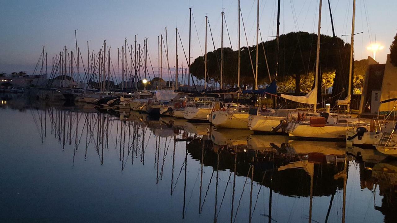 Hebergement Insolite Studio Grau Du Roi Mas Des Marines Piscine ル・グロー・デュ・ロワ エクステリア 写真